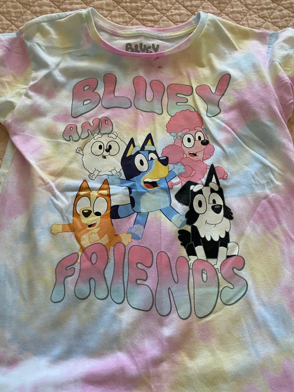 Bluey tees - Picture 2 of 4